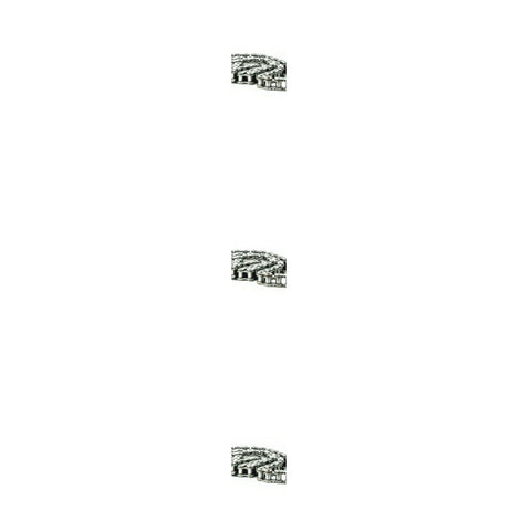 Speeco S06803 Genuine OEM Roller Chain 1" Pitch