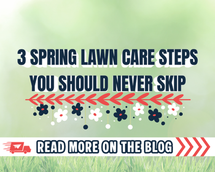 3 Spring Lawn Care Steps You Should Never Skip