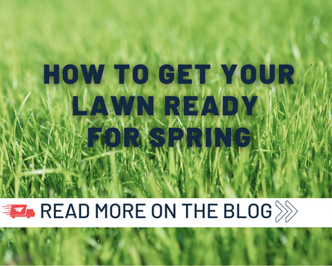 How to Get Your Lawn Ready for Spring