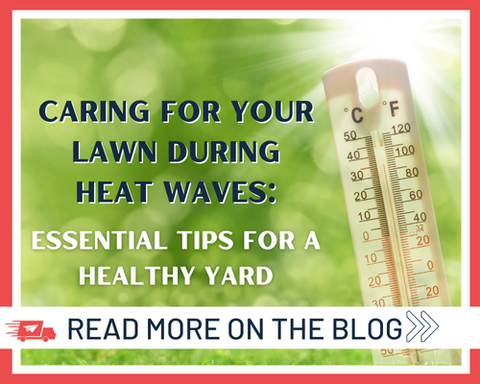 Caring for Your Lawn During Heat Waves: Essential Tips for a Healthy Yard