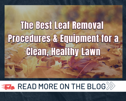 The Best Leaf Removal Procedures and Equipment for a Clean, Healthy Lawn