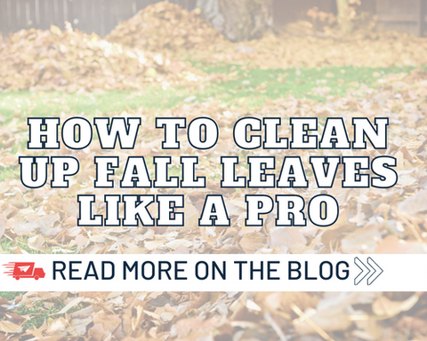 How to Clean Up Fall Leaves Like a Pro