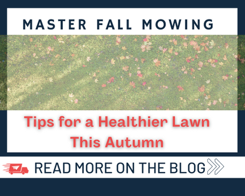 Master Fall Mowing: Tips for a Healthier Lawn This Autumn