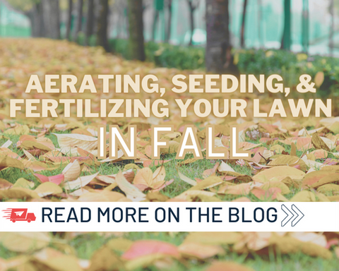 Aerating, Seeding, and Fertilizing Your Lawn in Fall