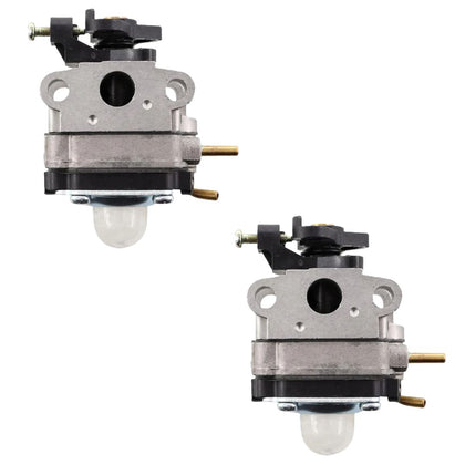 Homelite 309375009 Genuine OEM Replacement Carburetor Ruixing H129F-2C