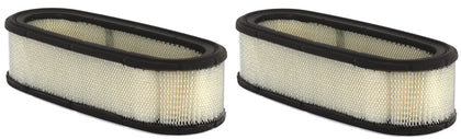 Briggs Genuine OEM 394019S Air Filter Cartridge