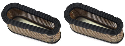 Briggs Genuine OEM 496894S Filter