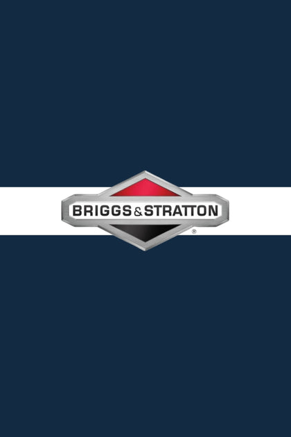 Briggs & Stratton
