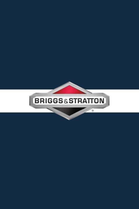 Briggs & Stratton