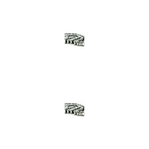 2 Pack   speeco s06411 speeco roller chain 1 2" pitch genuine oem