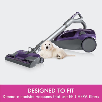 Cleva KC38KCEN1000 Genuine OEM Kenmore HEPA Filter Assembly