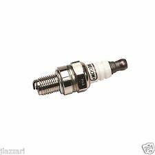 Oregon 77-303-1 Spark Plug replaces Champion RC12YC