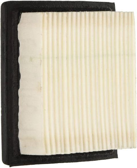 Tecumseh 36046 Genuine OEM Air Filter